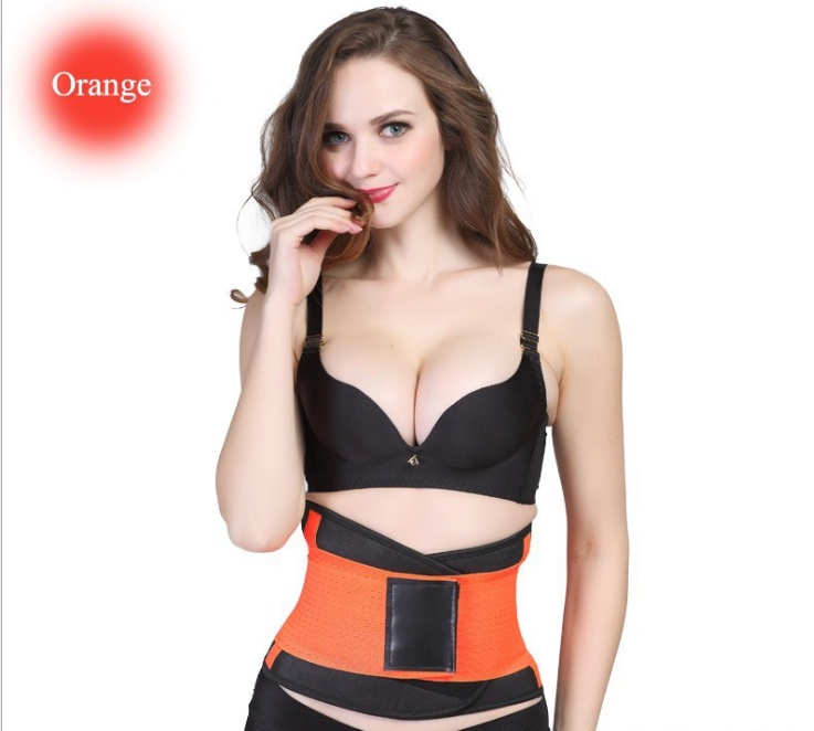 Women's Sports Slimming Plastic Belt - Image 5